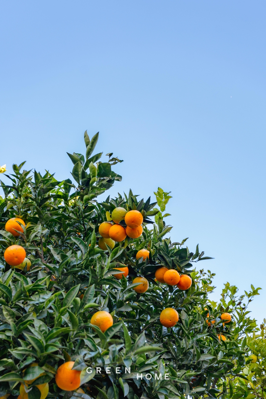 Achat La Ciotat - Maison - 6 pièces